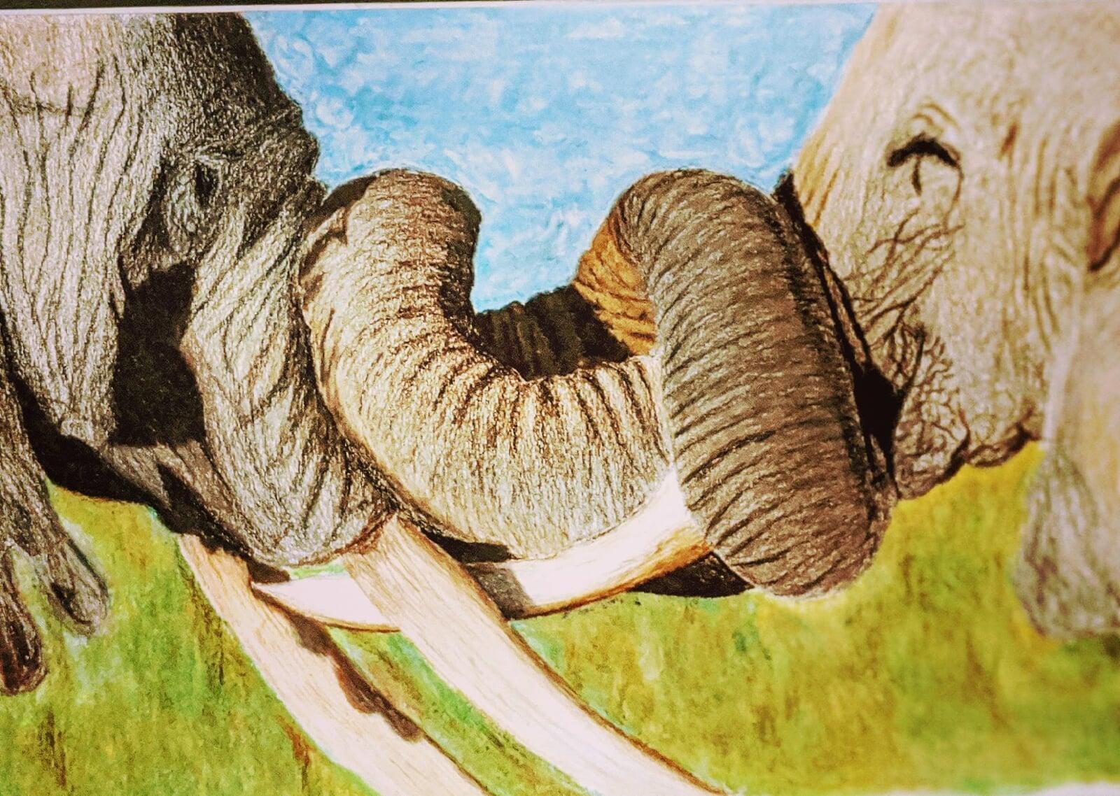 elephants